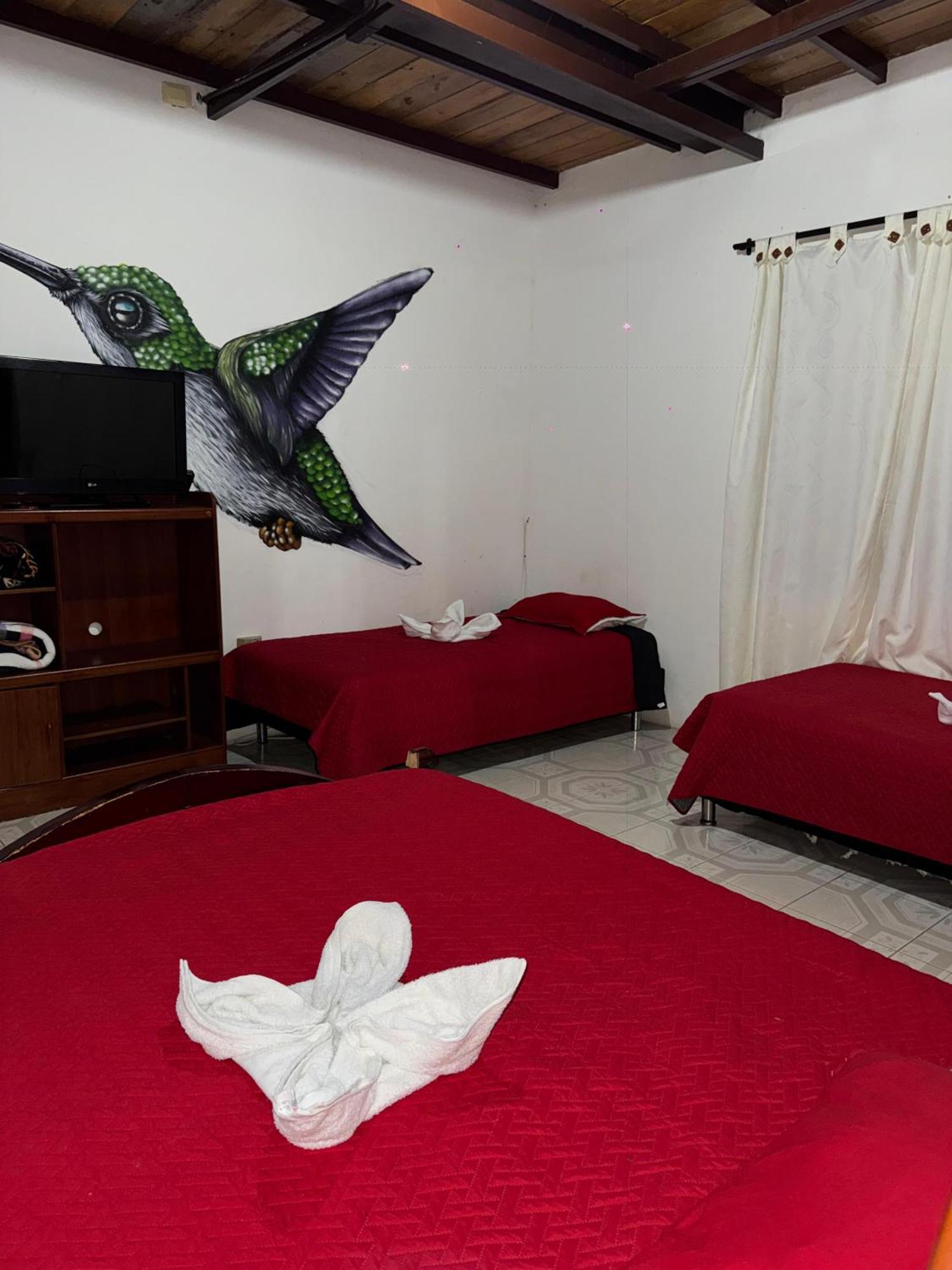 Ecohotel Colibri Salento Luna Park Exterior foto