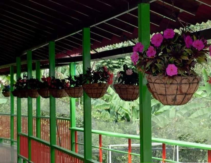 Ecohotel Colibri Salento Luna Park Exterior foto